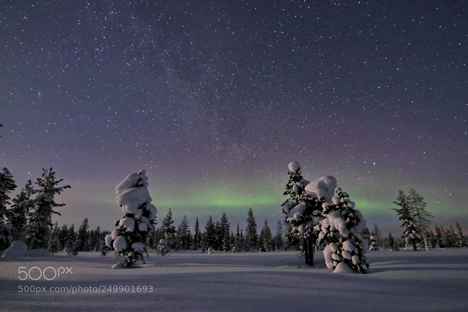 Canon EOS 80D sample photo. Northern lights photography