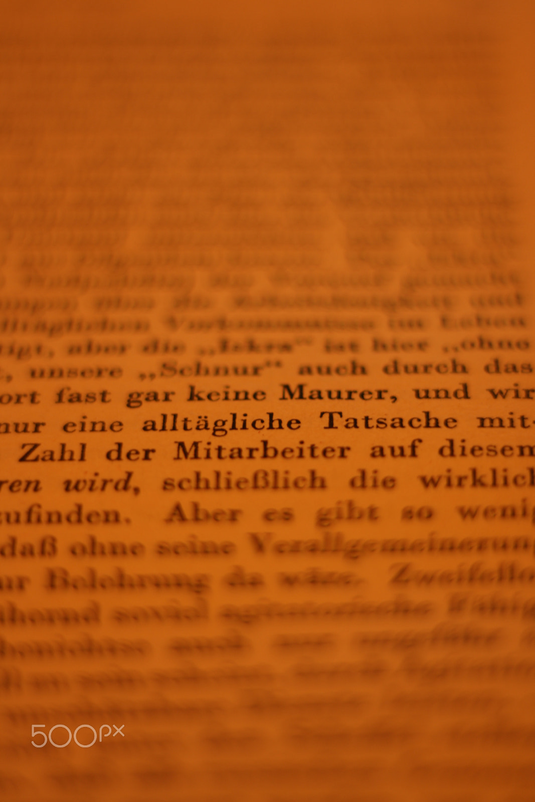 Canon EOS 1000D (EOS Digital Rebel XS / EOS Kiss F) + Canon EF 50mm F1.8 STM sample photo. Worte - words photography