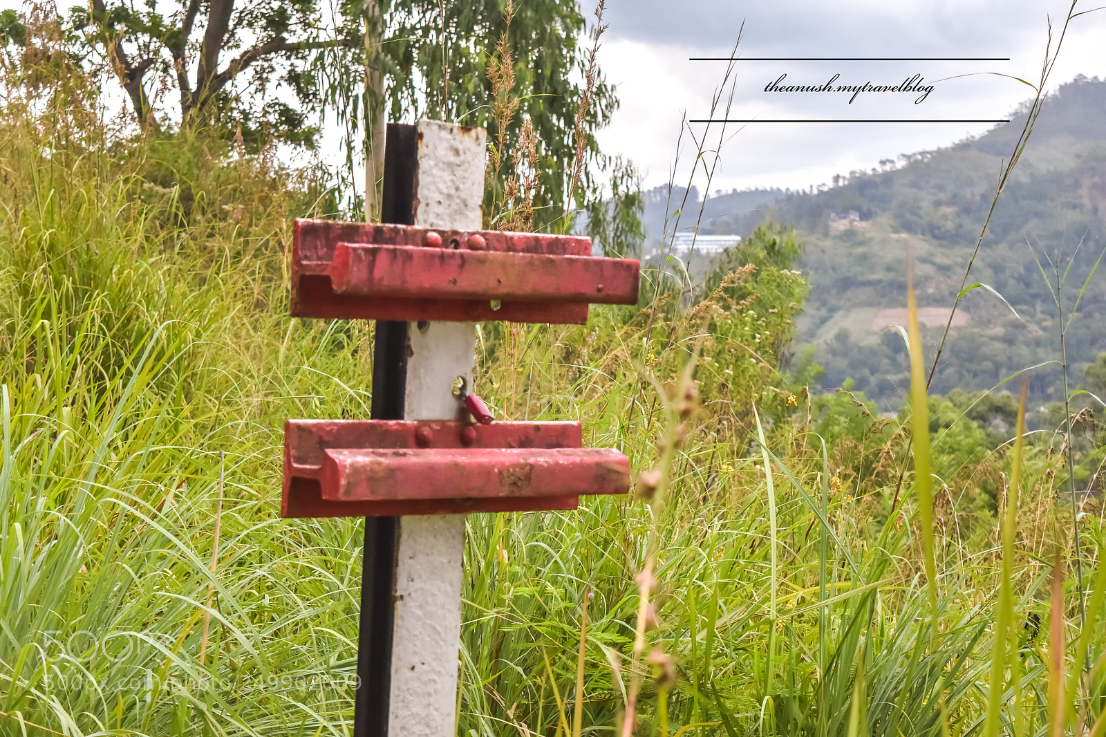 Nikon D7200 sample photo. Tripping ?? photography