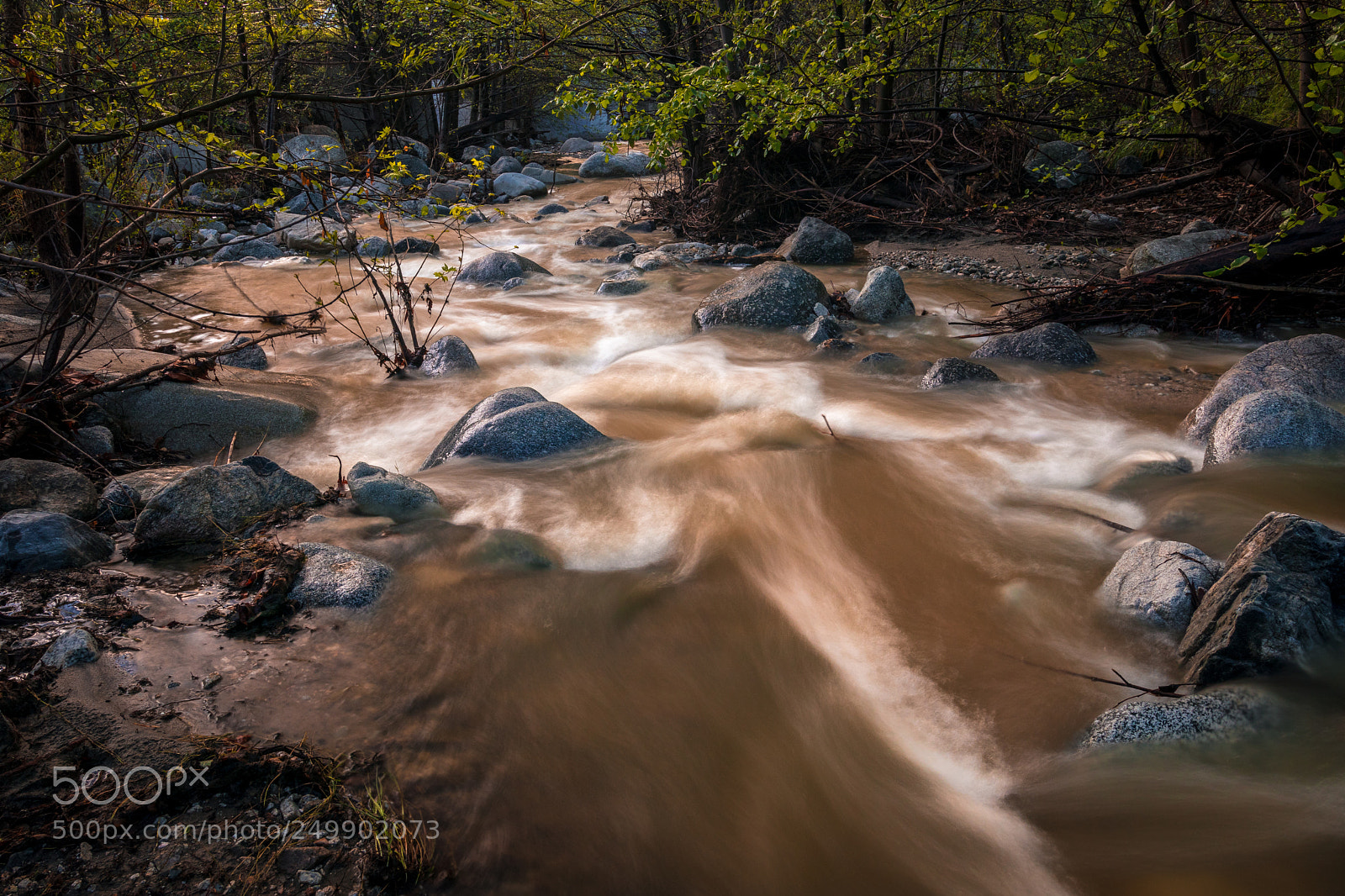 Canon EOS 77D (EOS 9000D / EOS 770D) sample photo. Dirty water photography