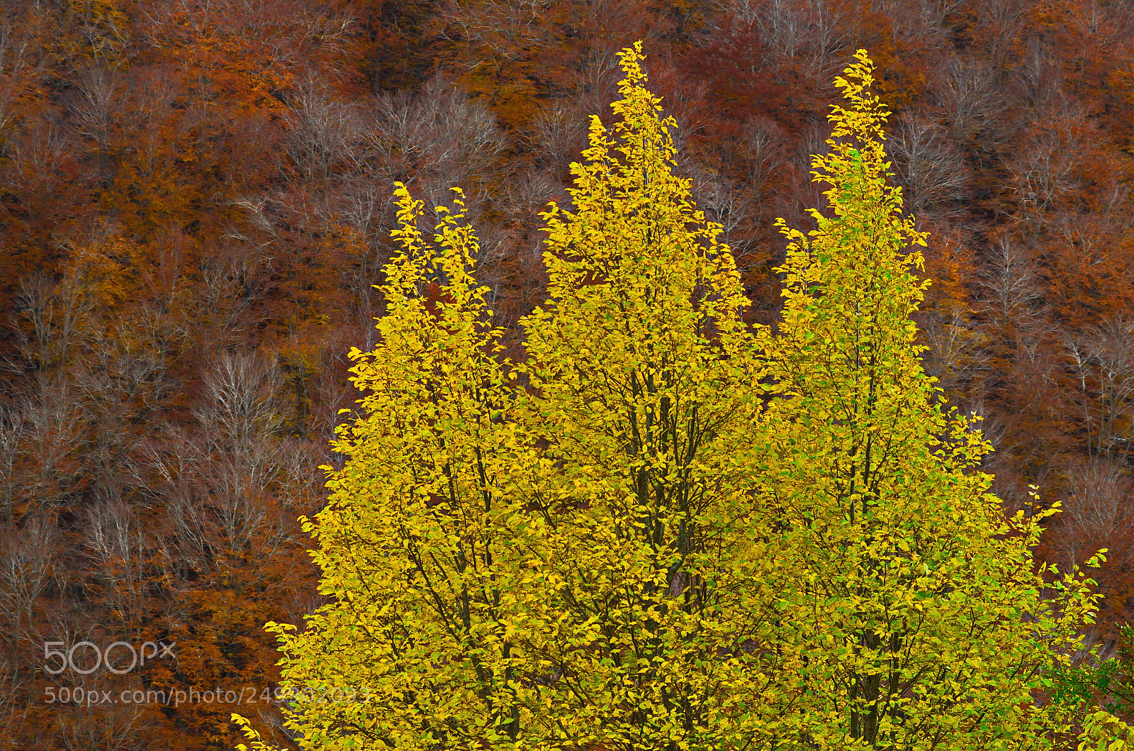 Pentax K-50 sample photo. Autumn in abruzzo 4 photography