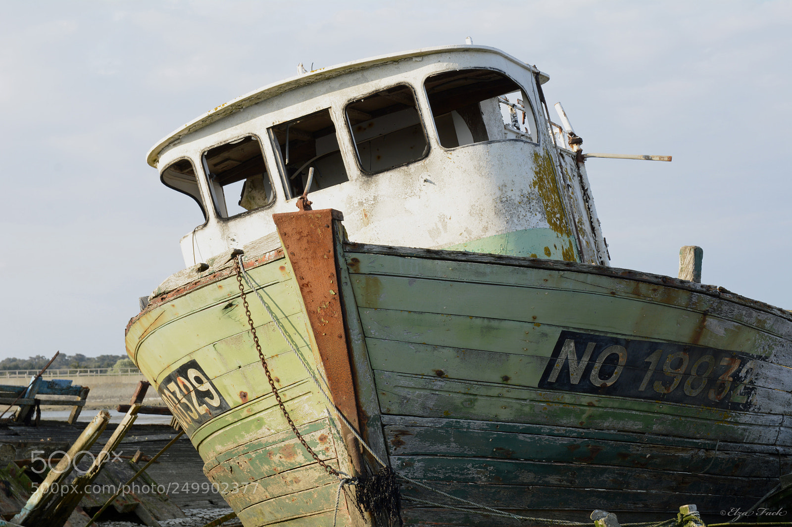 Nikon D7100 sample photo. No 198329 photography