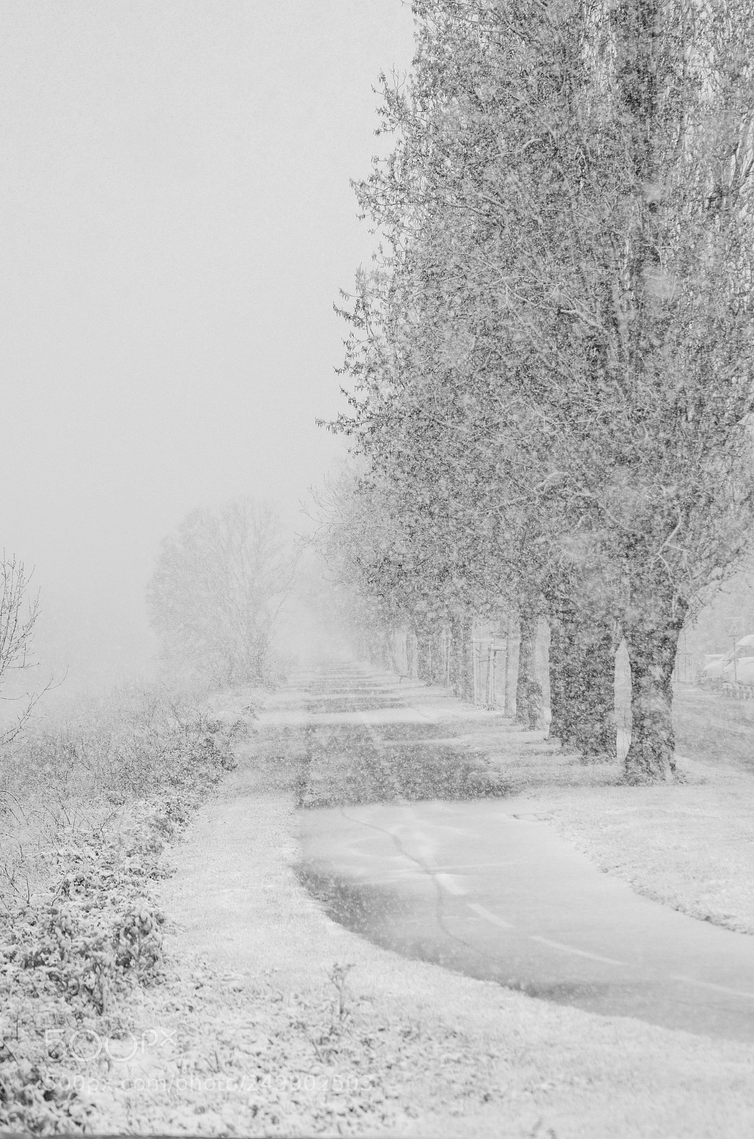 Nikon D7000 sample photo. Neige sur le canal photography