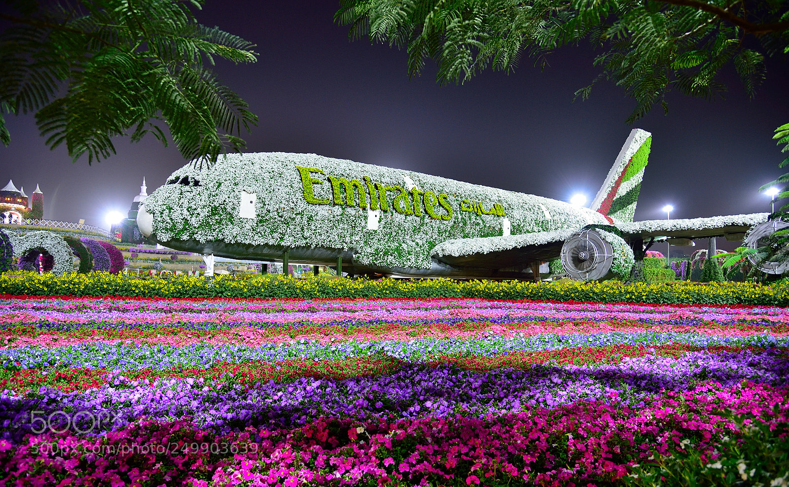 Nikon D750 sample photo. The emirates a380 blossoms photography
