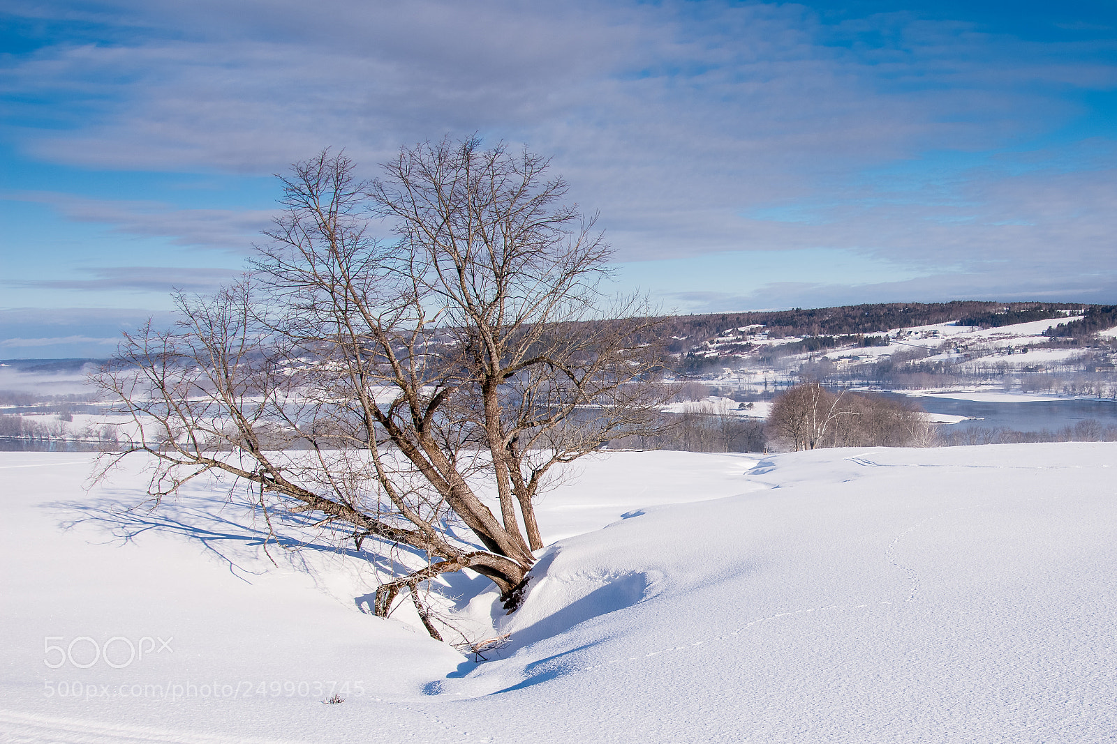 Nikon D7200 sample photo. Sunny 16 rule on sunday photography