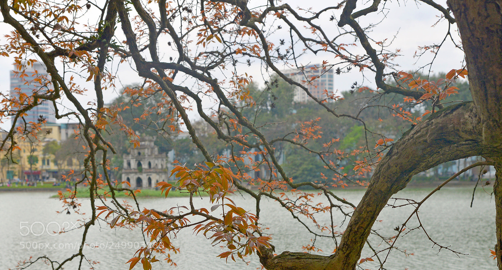 Nikon D600 sample photo. H g m photography