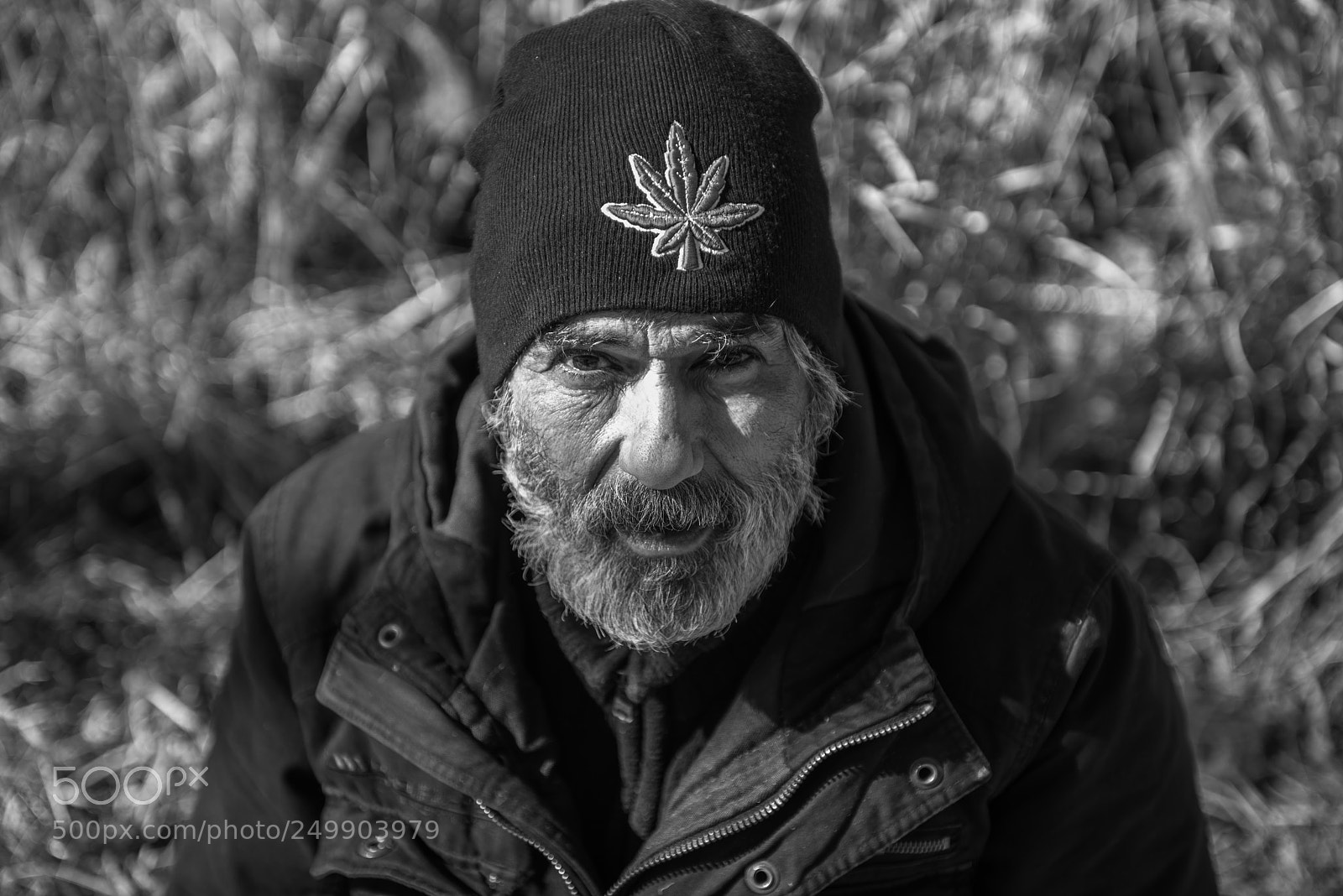 Nikon D810 sample photo. Cannabis culture photography