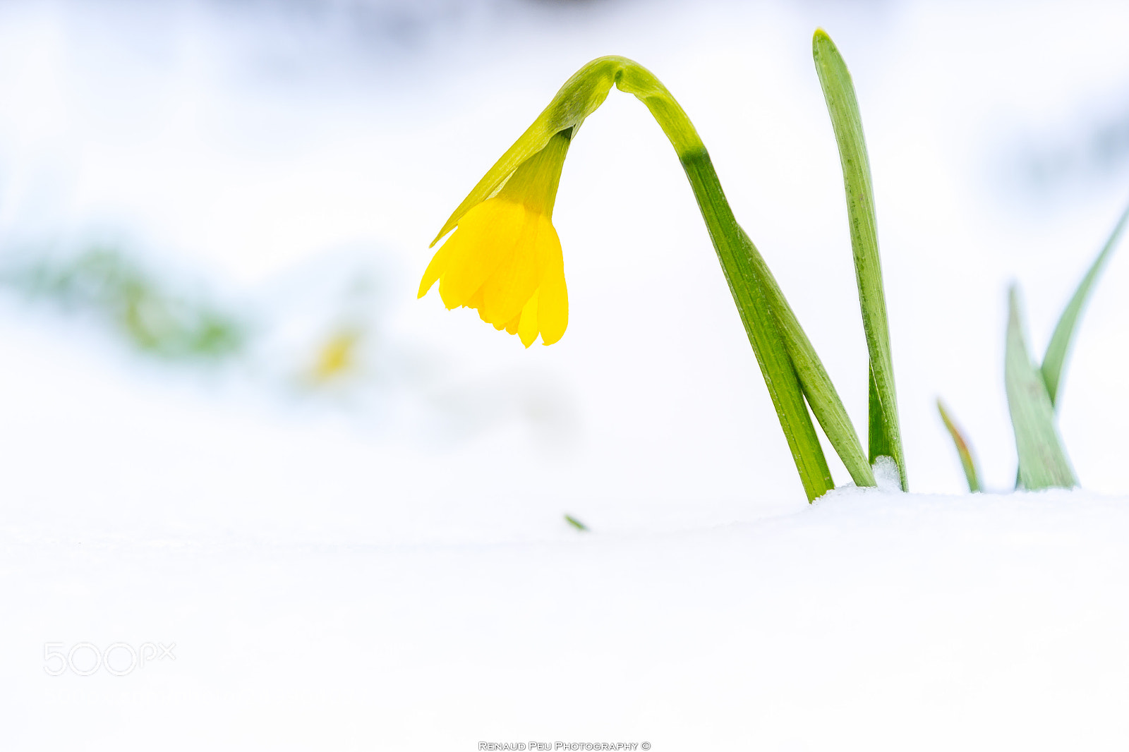 Canon EOS 60D sample photo. Untitled photography