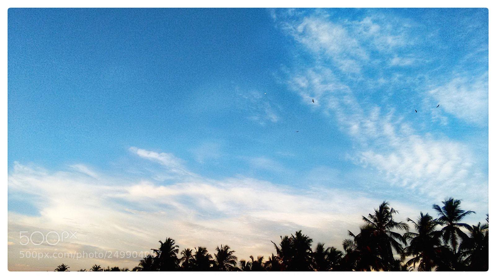 Motorola Moto G (2nd Gen) sample photo. Untitled photography
