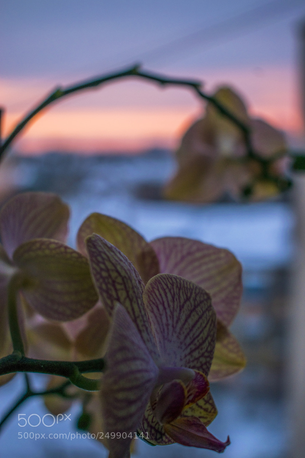 Nikon D3300 sample photo. Silence photography