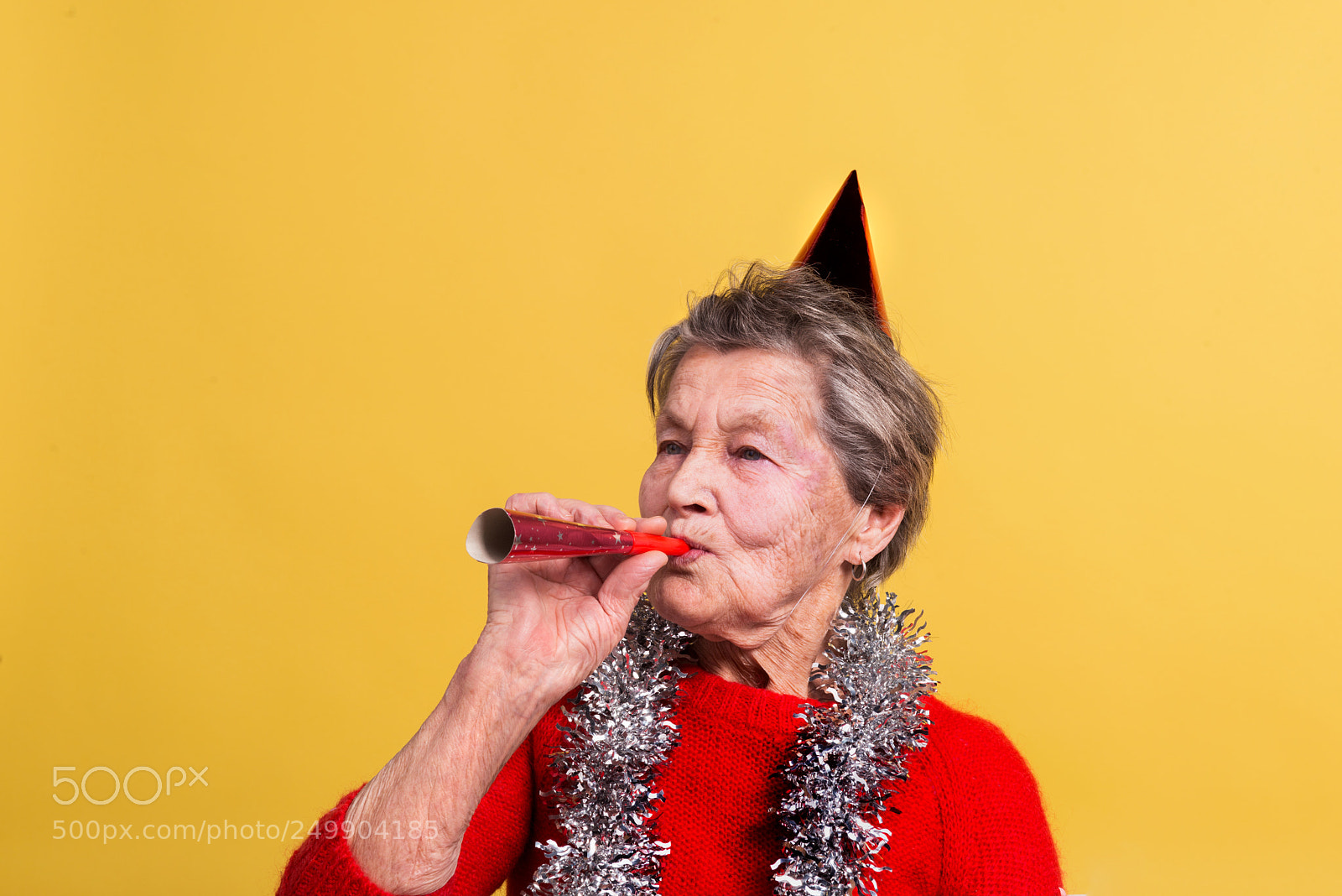 Nikon D800 sample photo. Portrait of a senior photography