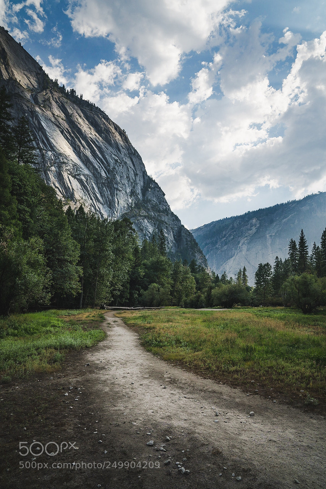 Sony a7R II sample photo. Yosemite pathway photography