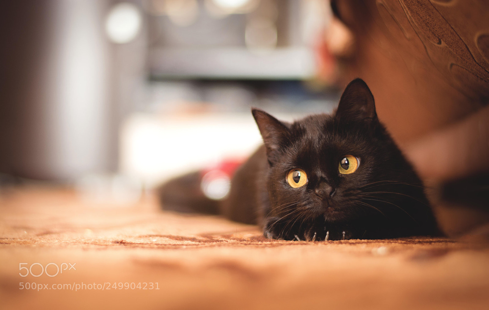 Nikon D5200 sample photo. . photography
