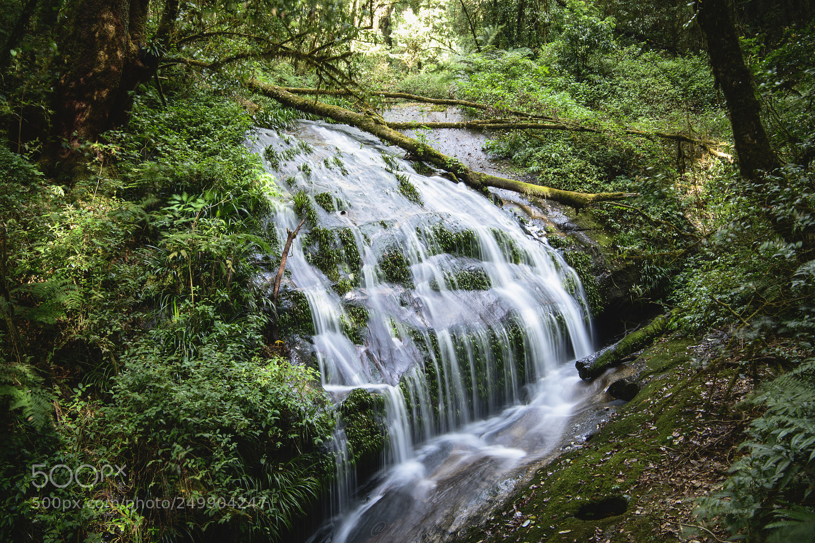 Nikon D850 sample photo. Mae pan waterfall photography
