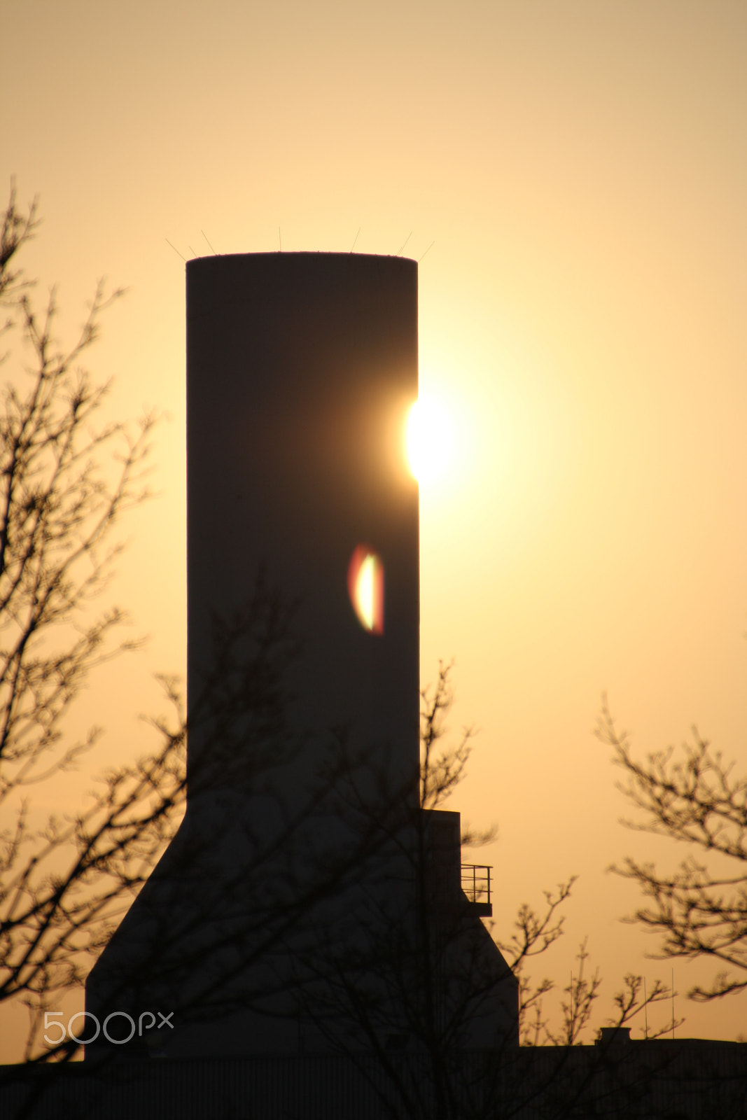 Canon EOS 1000D (EOS Digital Rebel XS / EOS Kiss F) sample photo. Goldene stunde - golden hour photography