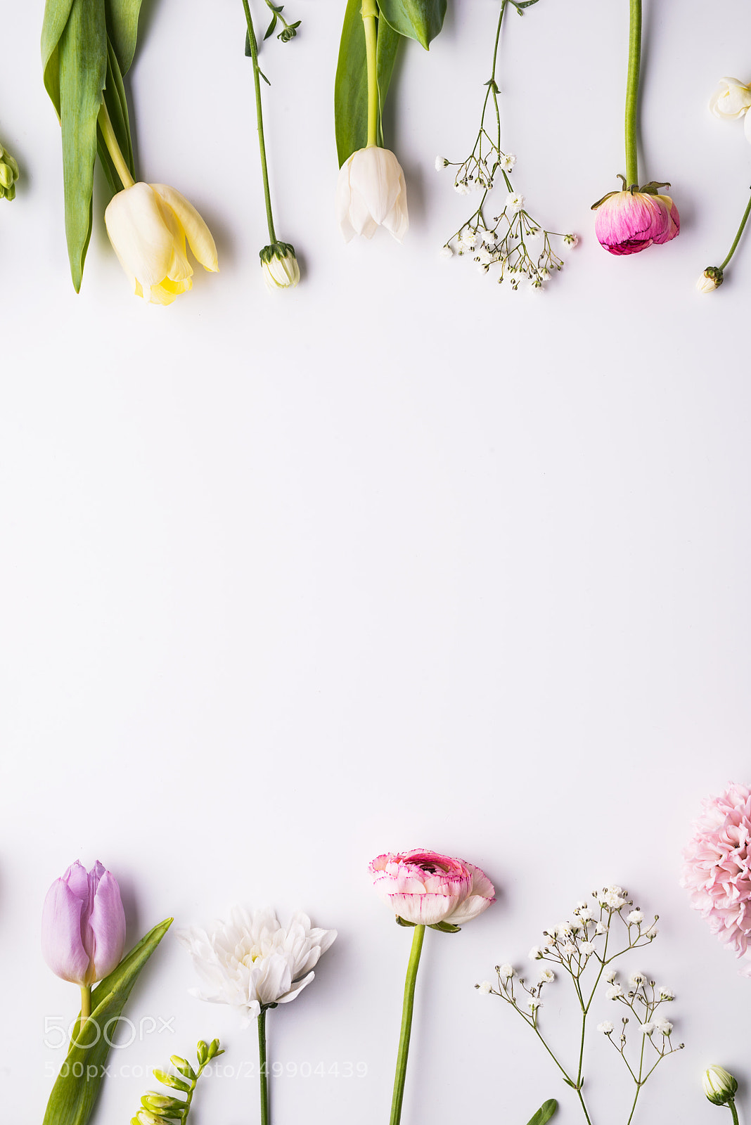 Nikon D800 sample photo. Flowers on a white photography