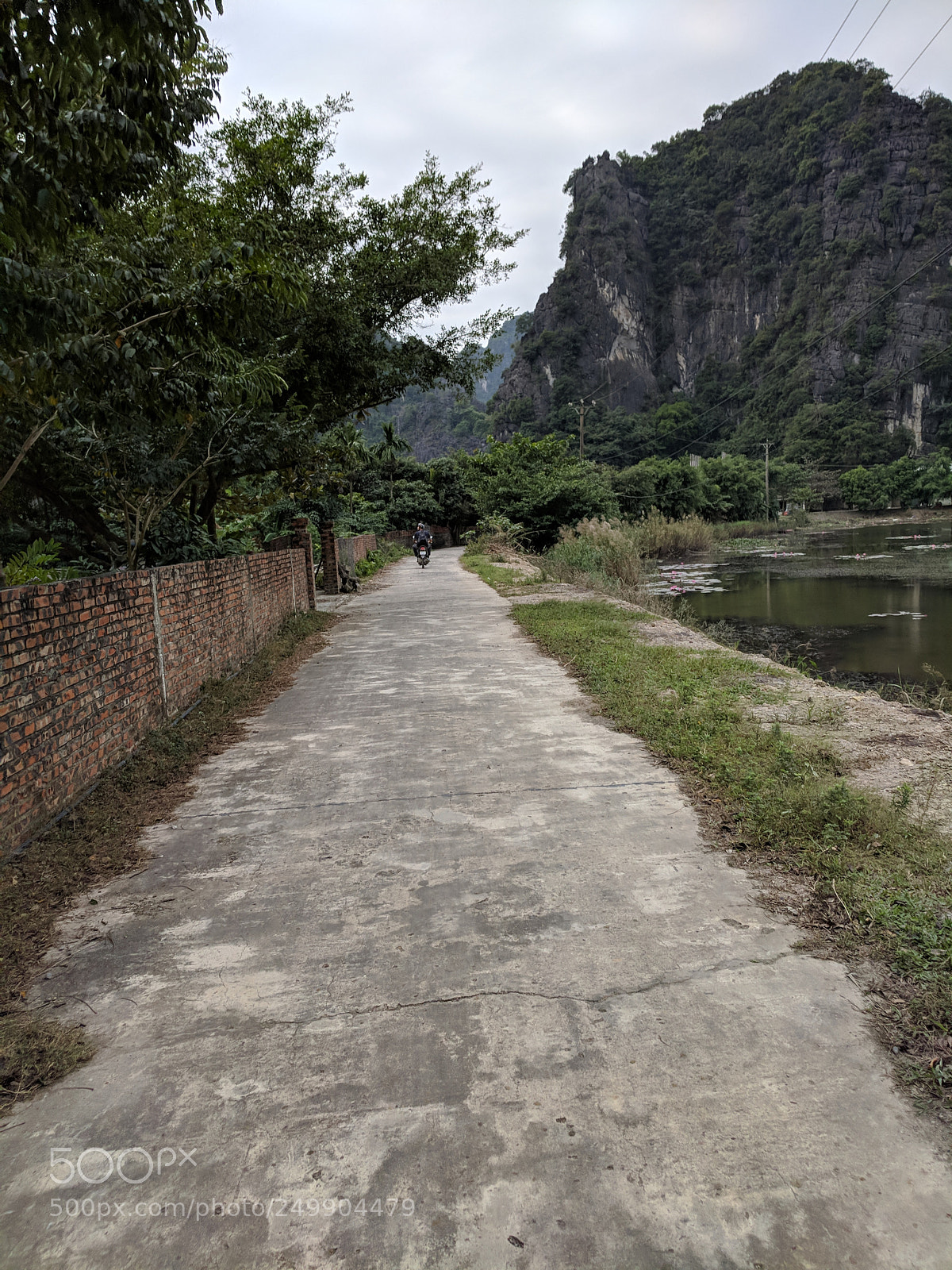 Google Pixel sample photo. Untitled photography