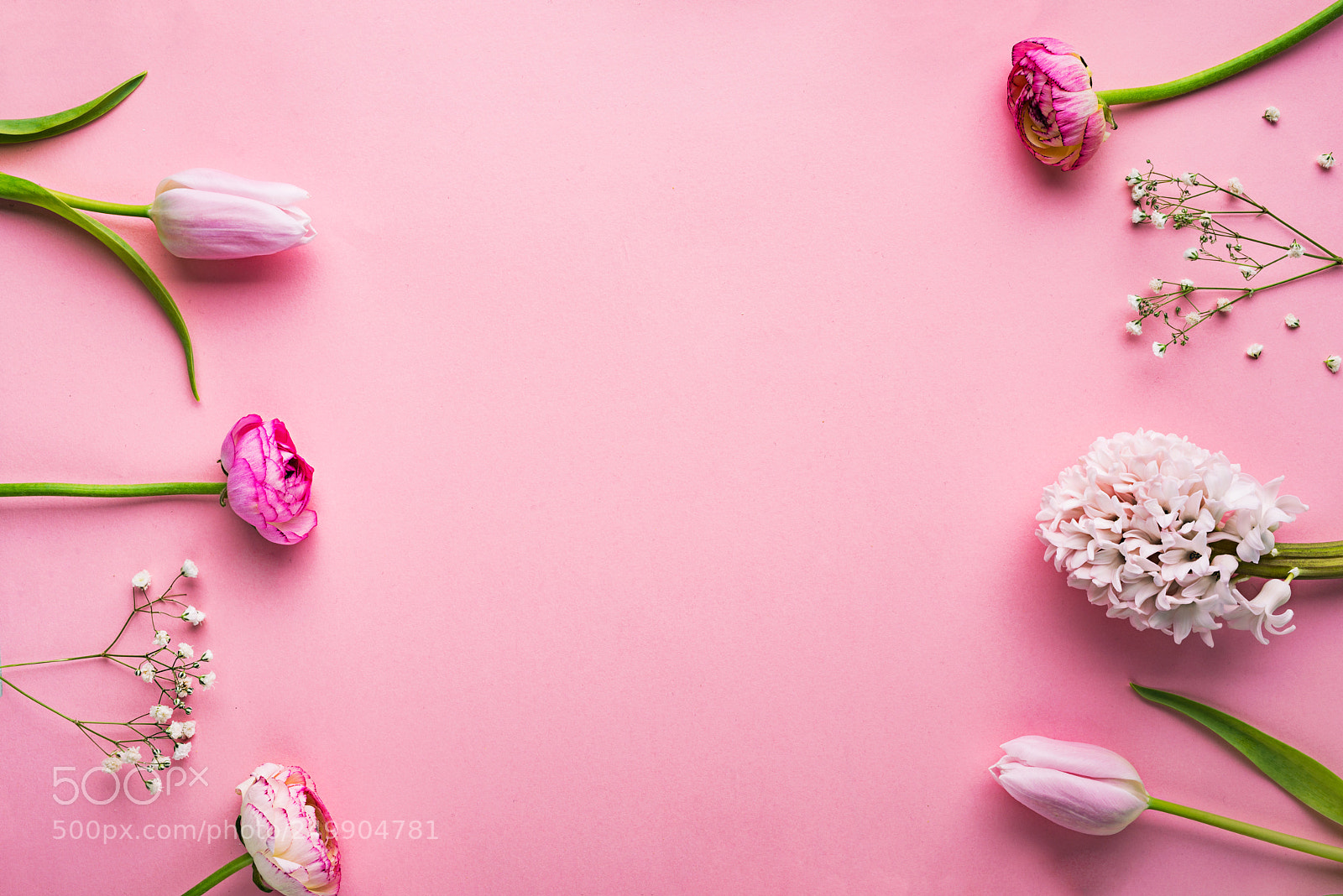 Nikon D800 sample photo. Fowers on a pink photography