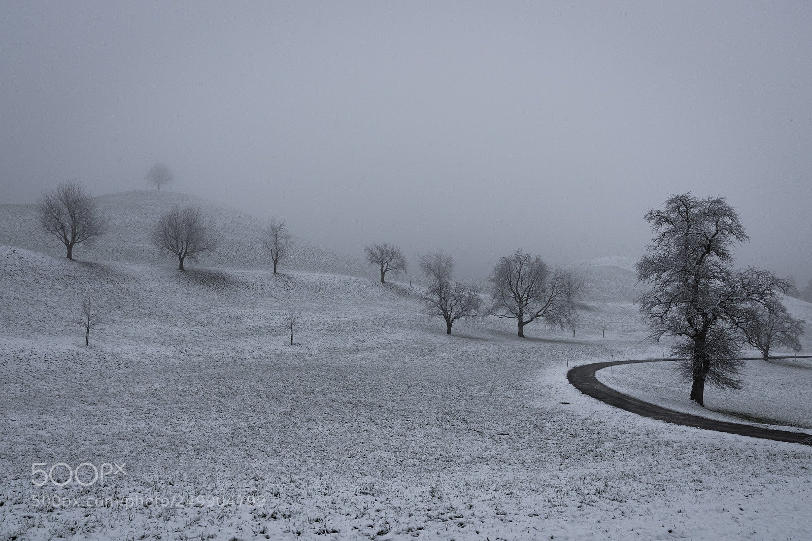Nikon D810 sample photo. The bend photography