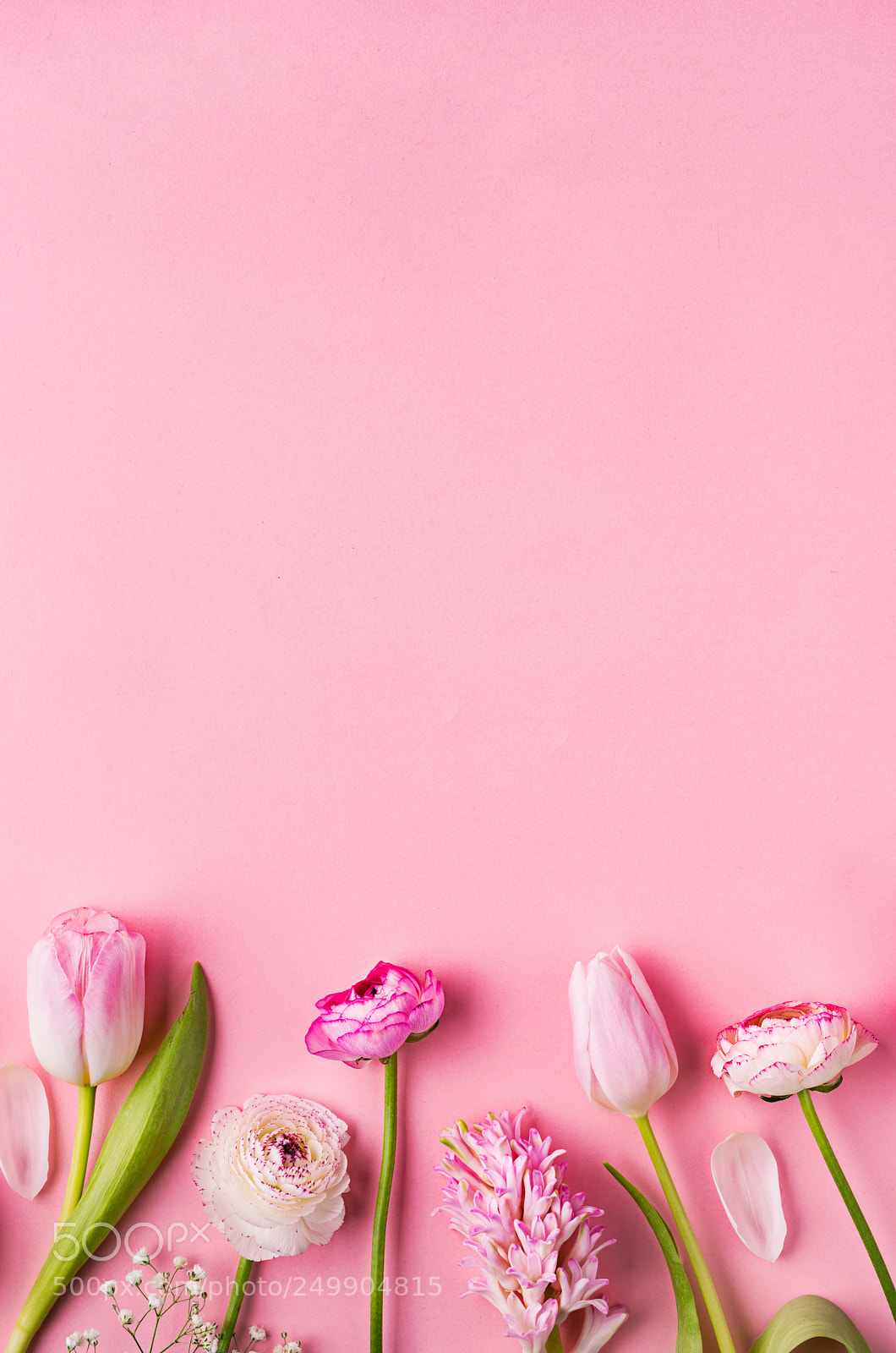 Nikon D800 sample photo. Pink flowers on a photography