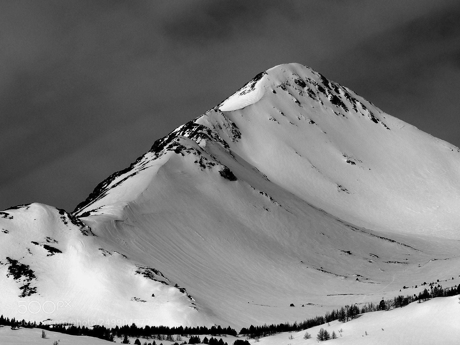 Olympus OM-D E-M10 II sample photo. Camporells photography