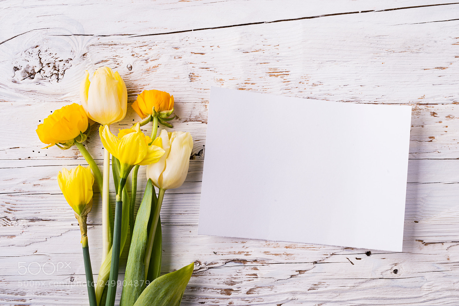 Nikon D800 sample photo. Easter and spring flat photography