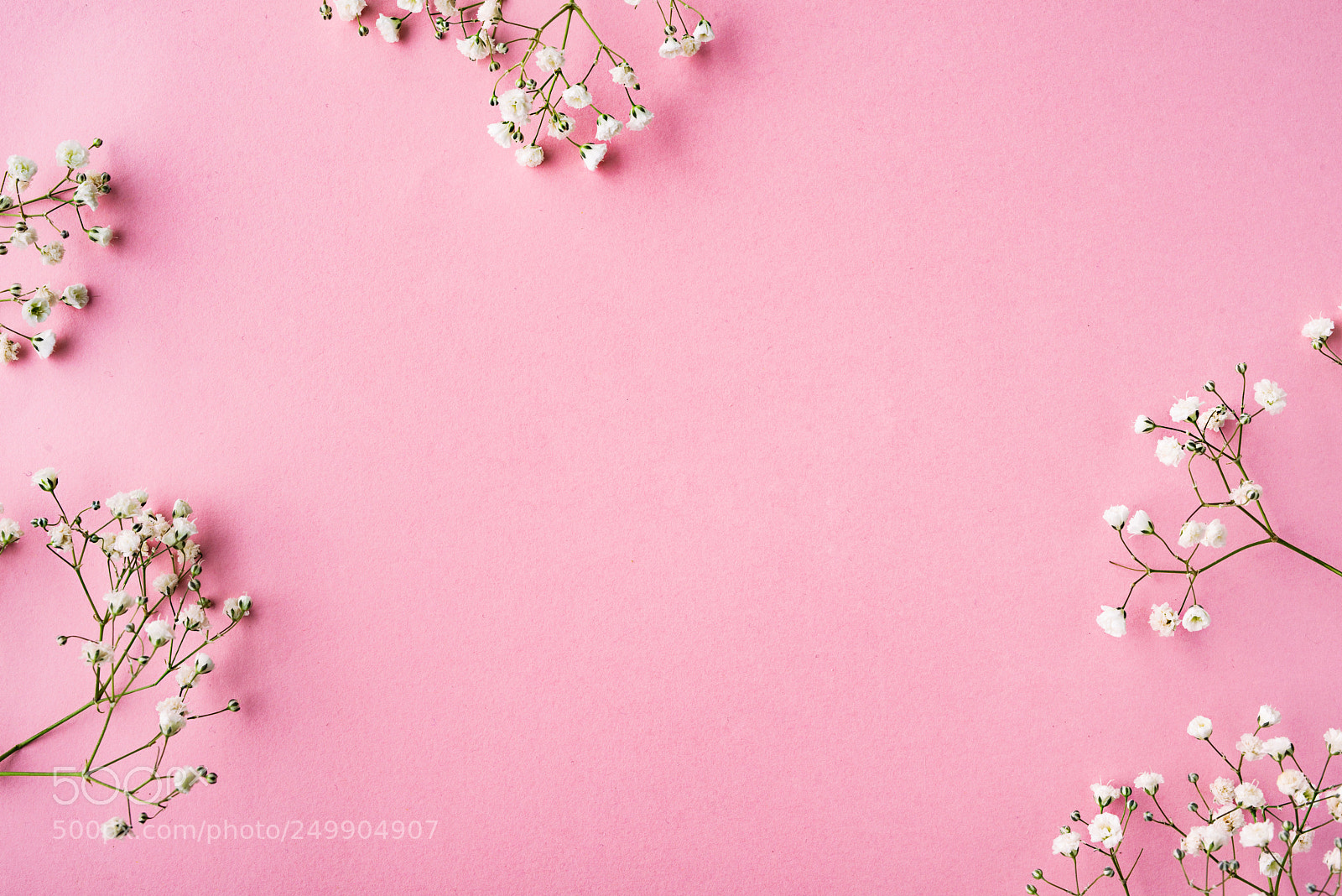 Nikon D800 sample photo. Fowers on a pink photography