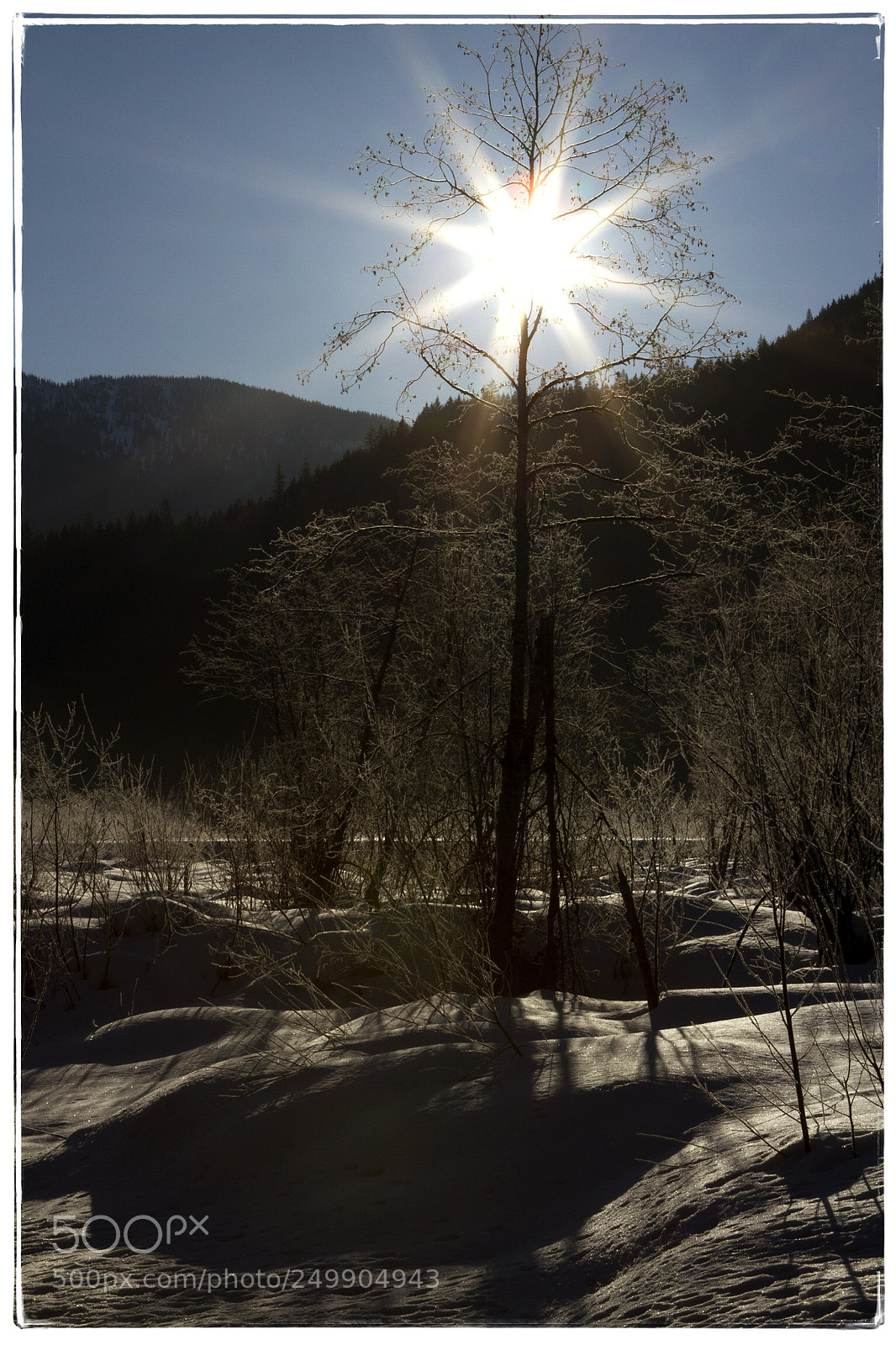 Canon EOS 7D sample photo. Morning flare. photography