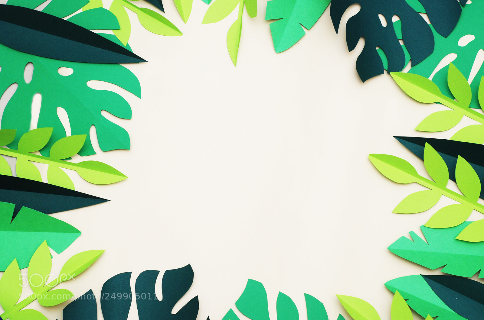 Nikon D80 sample photo. Summer tropical paper cut photography