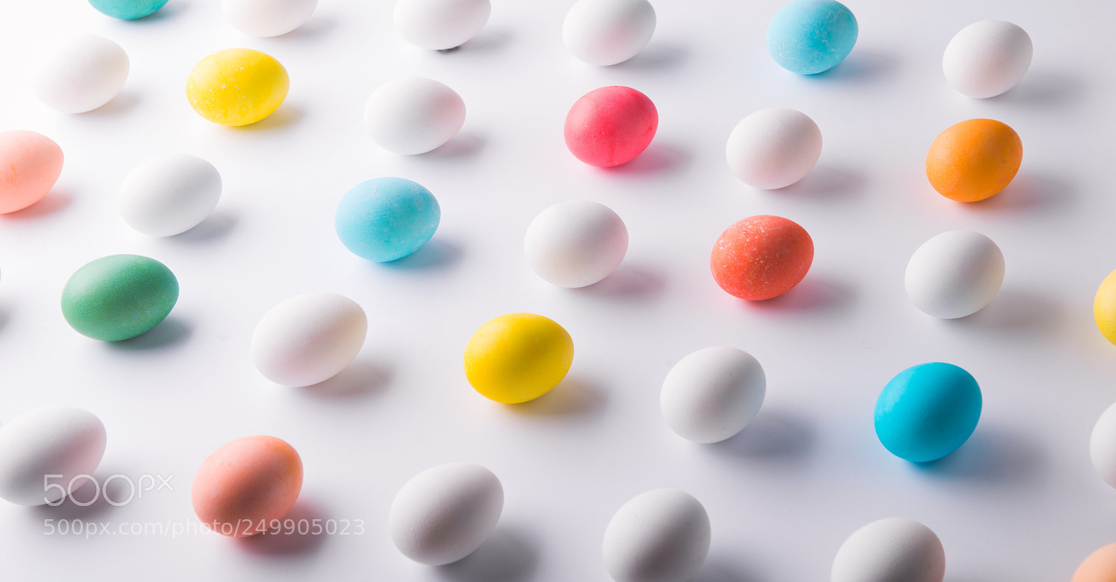 Nikon D800 sample photo. Eggs flat lay on photography