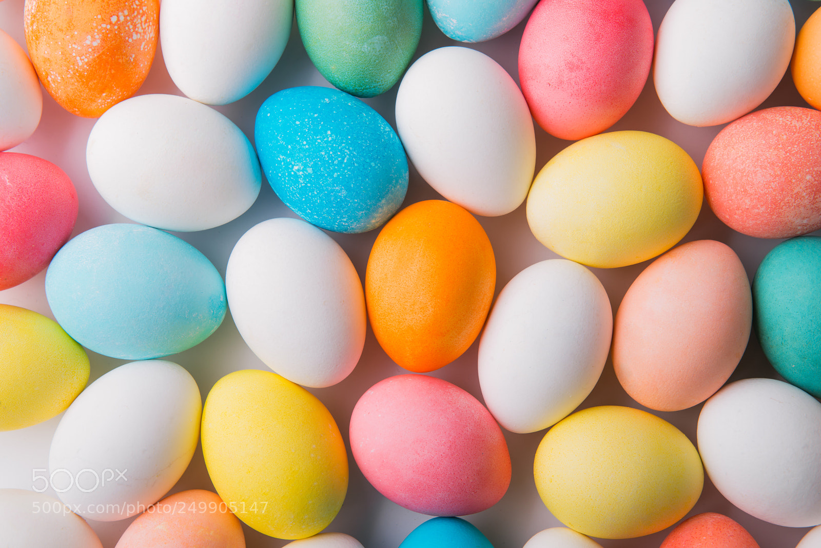Nikon D800 sample photo. Eggs flat lay on photography