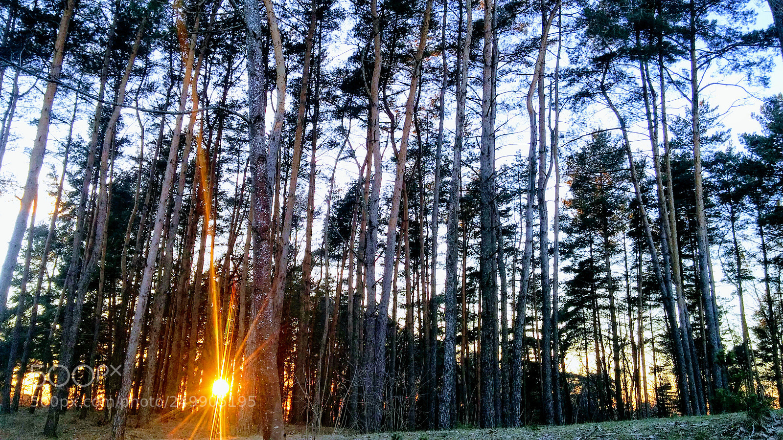 LG G3 sample photo. Feel the light photography