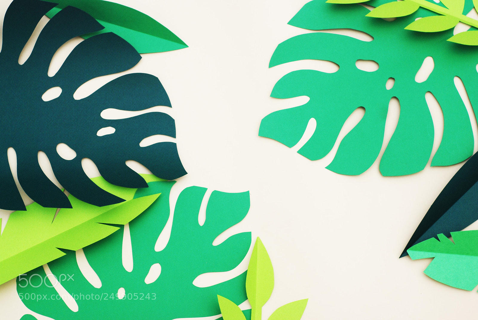Nikon D80 sample photo. Summer tropical leaves, plants photography