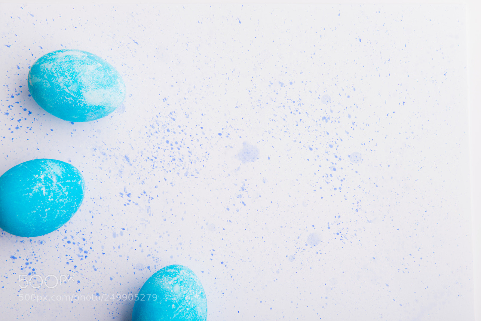 Nikon D800 sample photo. Eggs flat lay on photography