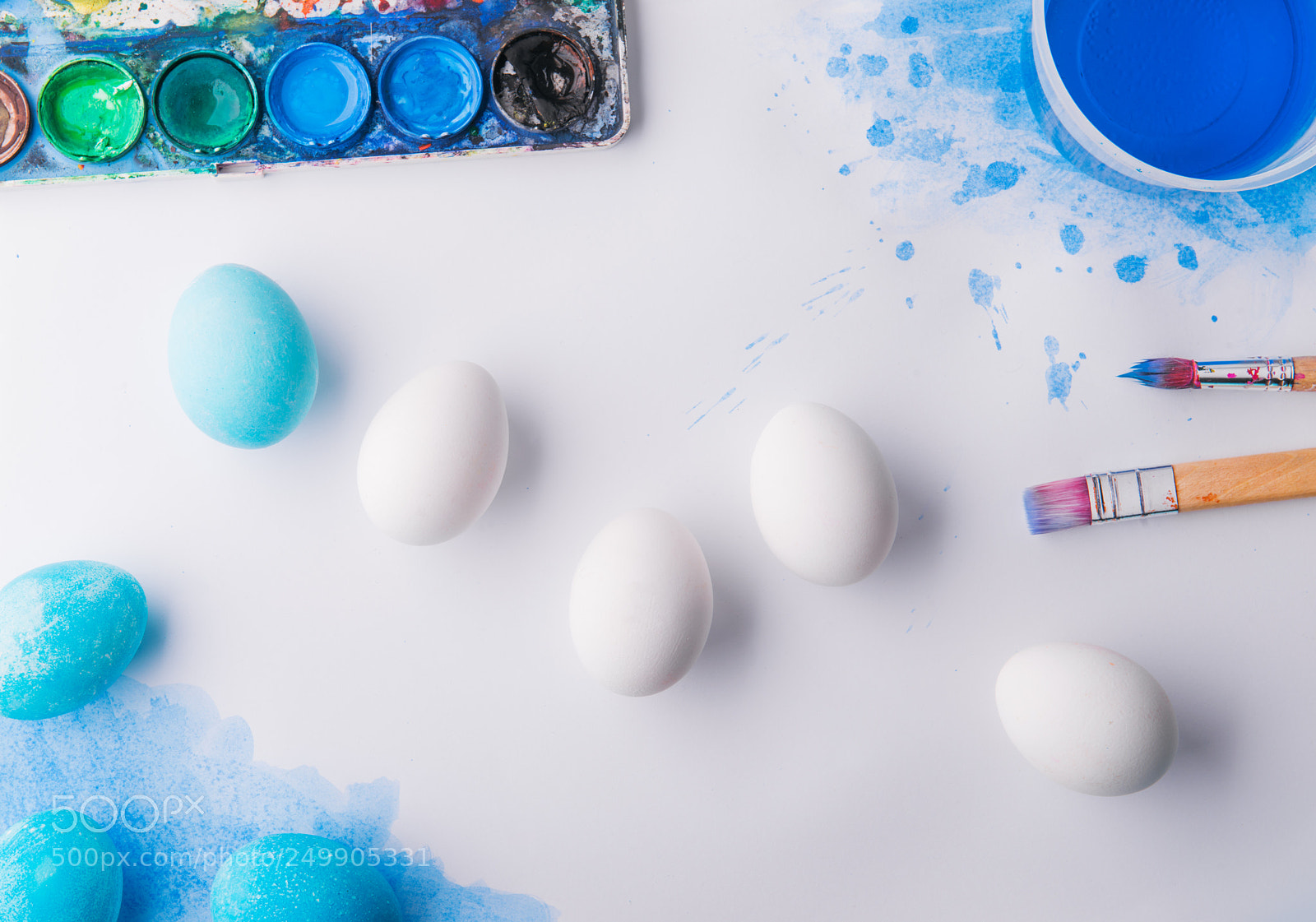 Nikon D800 sample photo. Eggs flat lay on photography