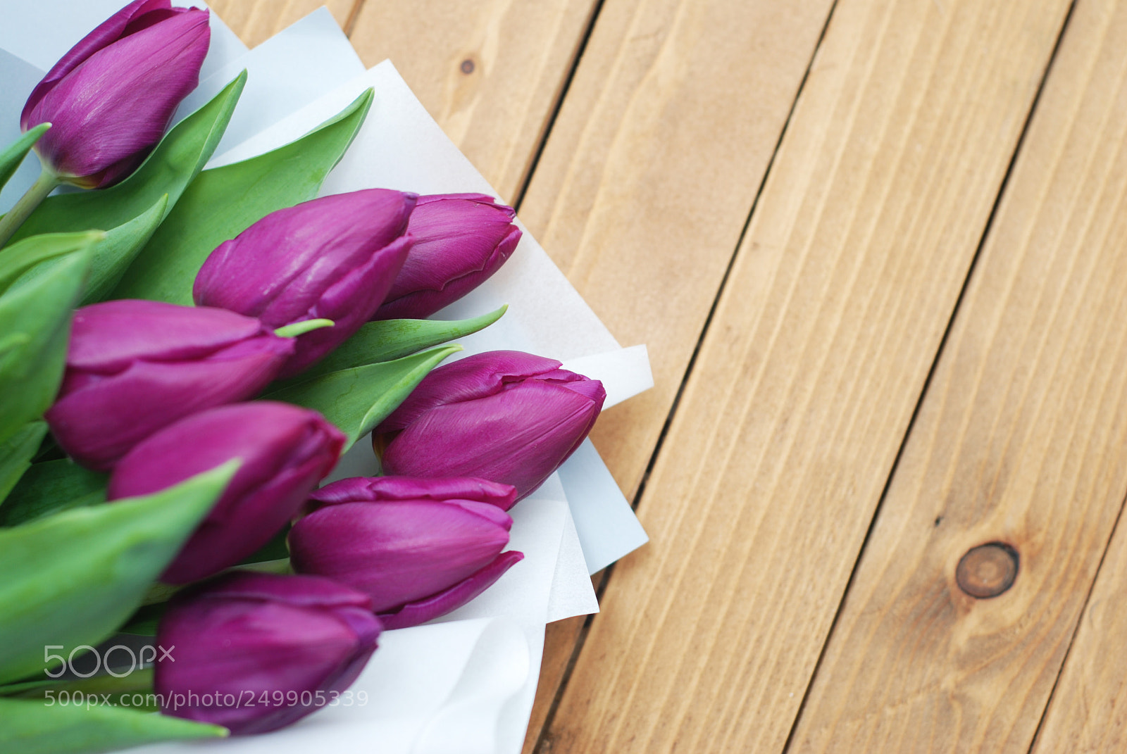 Nikon D80 sample photo. Bouquet of spring purple photography