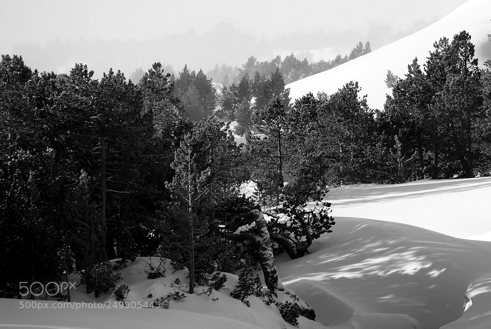 Olympus OM-D E-M10 II sample photo. Camporells photography