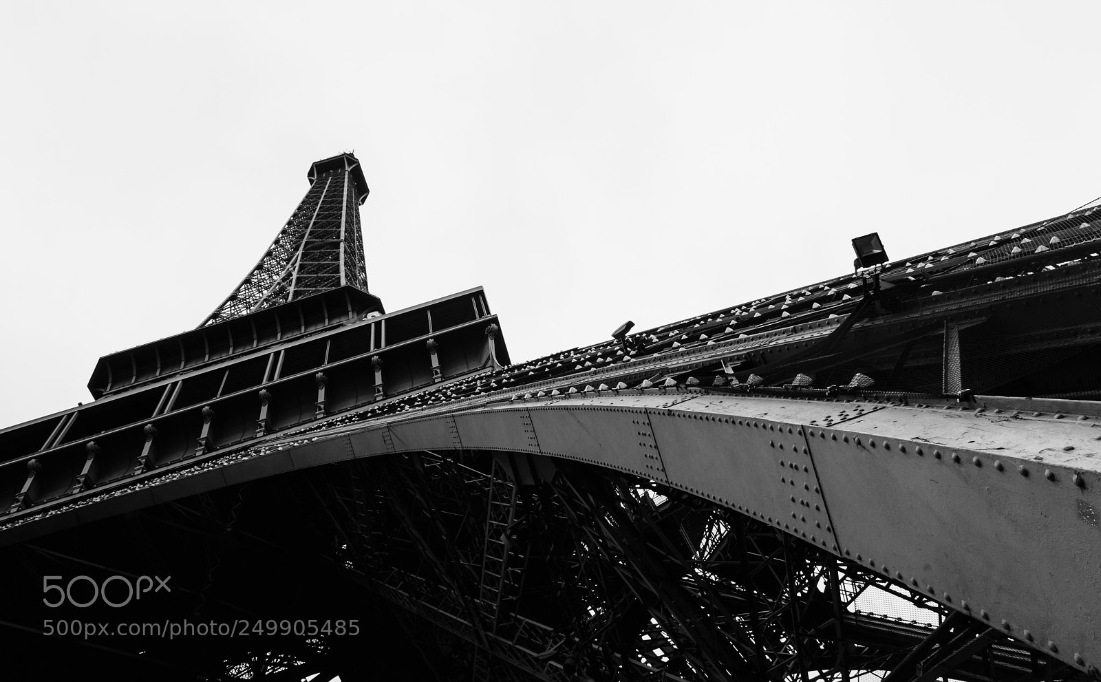 Nikon D7200 sample photo. Look up photography