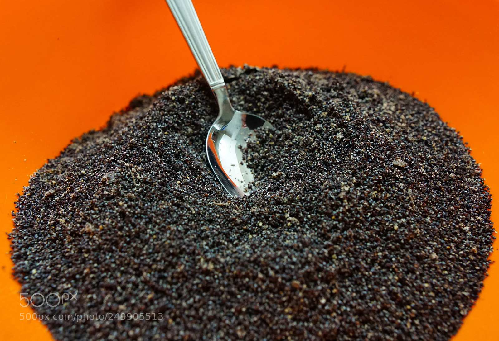 Sony a6000 sample photo. Poppy seed photography