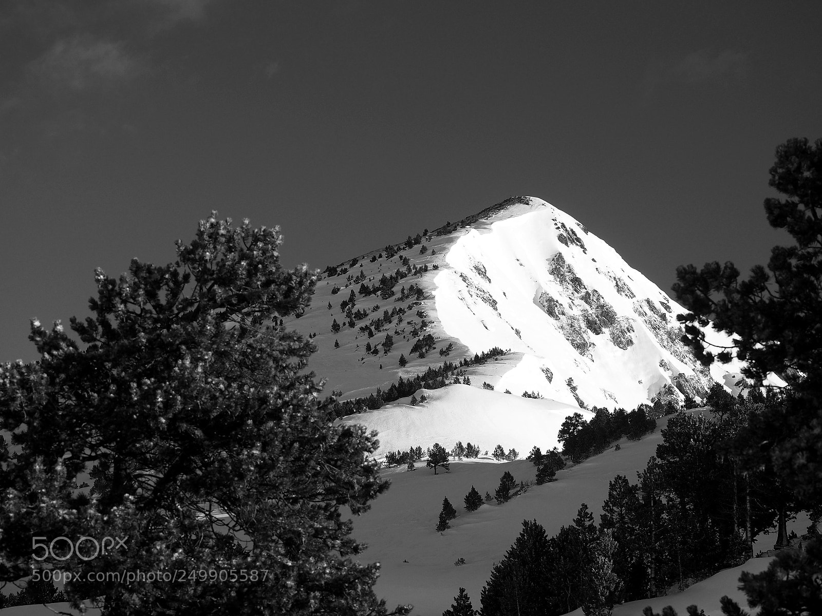 Olympus OM-D E-M10 II sample photo. Camporells photography