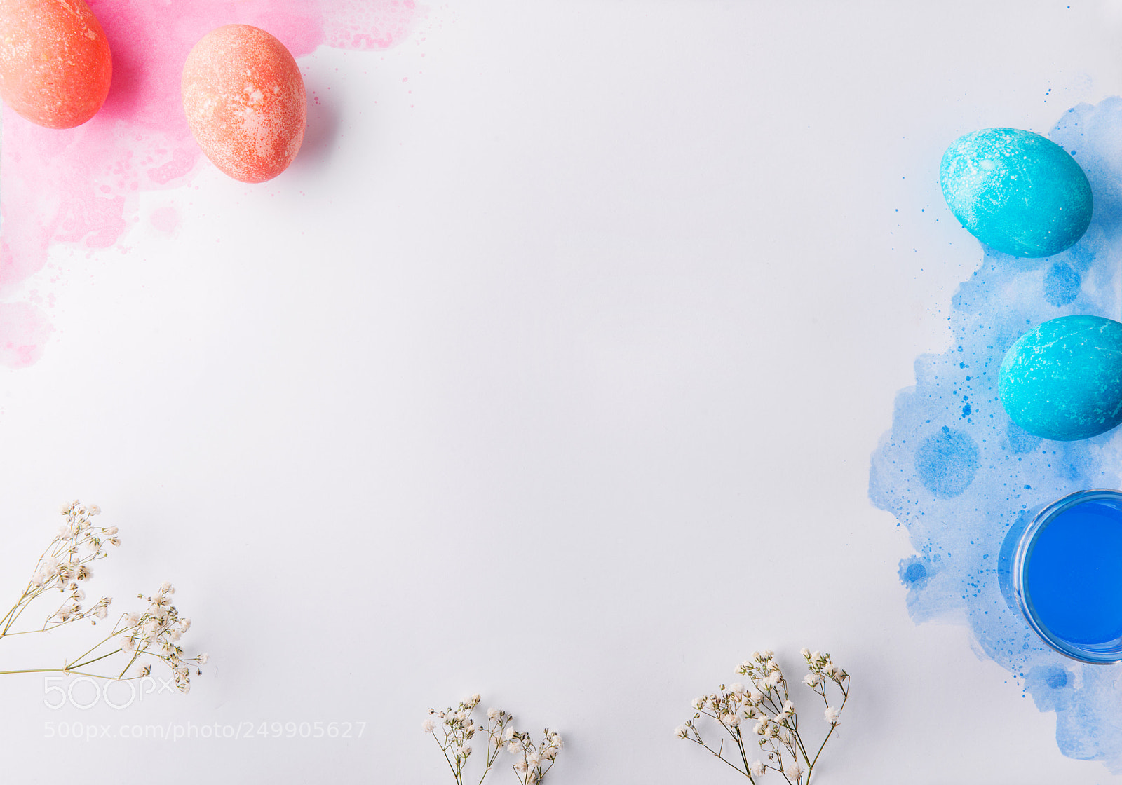 Nikon D800 sample photo. Eggs flat lay on photography
