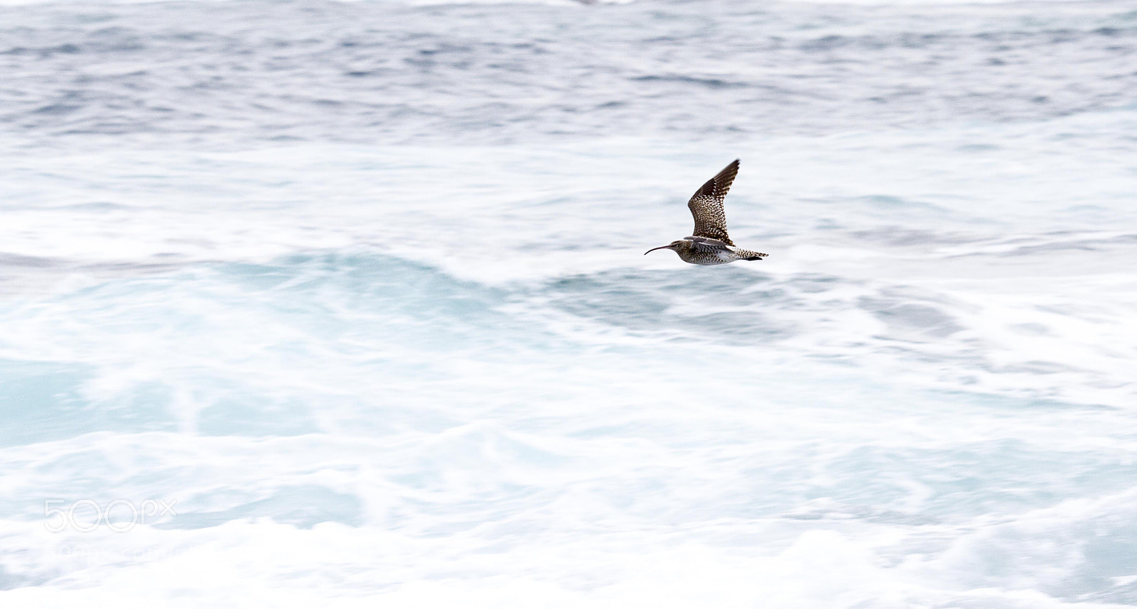 Canon EOS 7D sample photo. Mgl photography