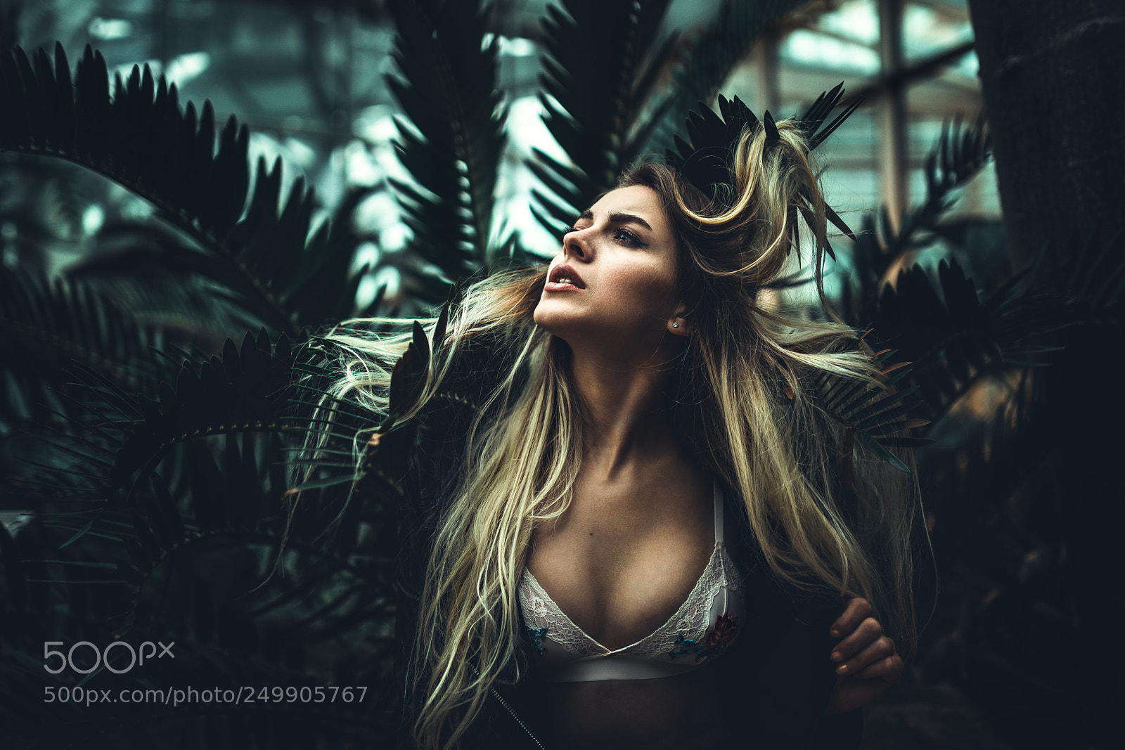 Canon EOS 5D Mark IV sample photo. Dreary photography