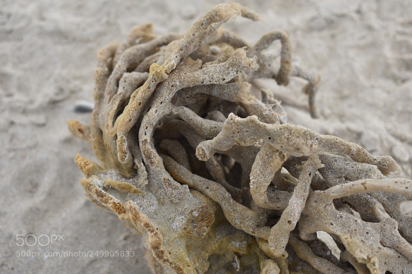 Nikon D3400 sample photo. Washed up photography