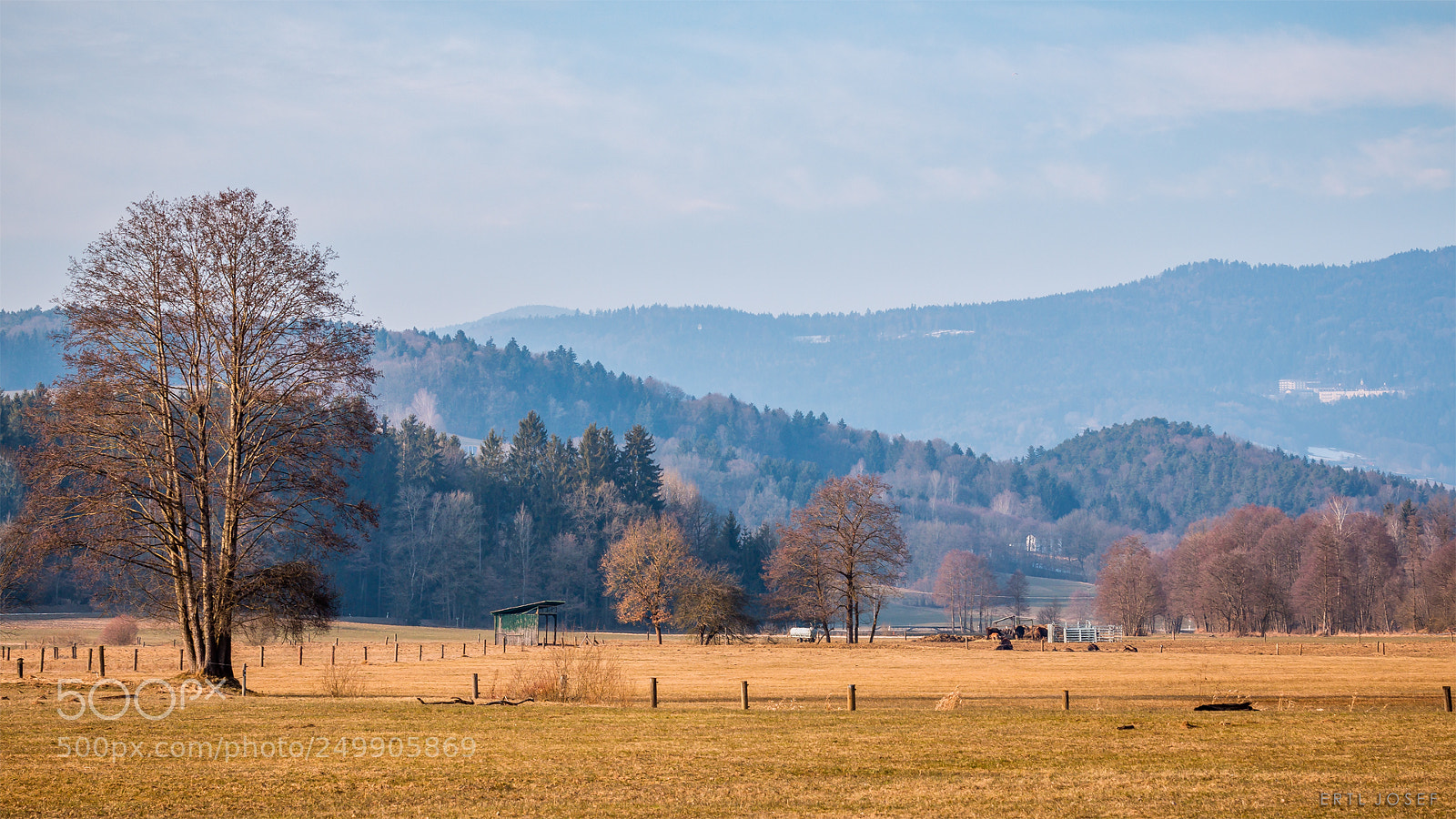 Canon EOS 70D sample photo. Im land der auerochsen photography