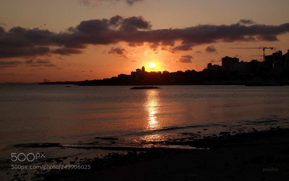 Samsung NX30 sample photo. ... photography