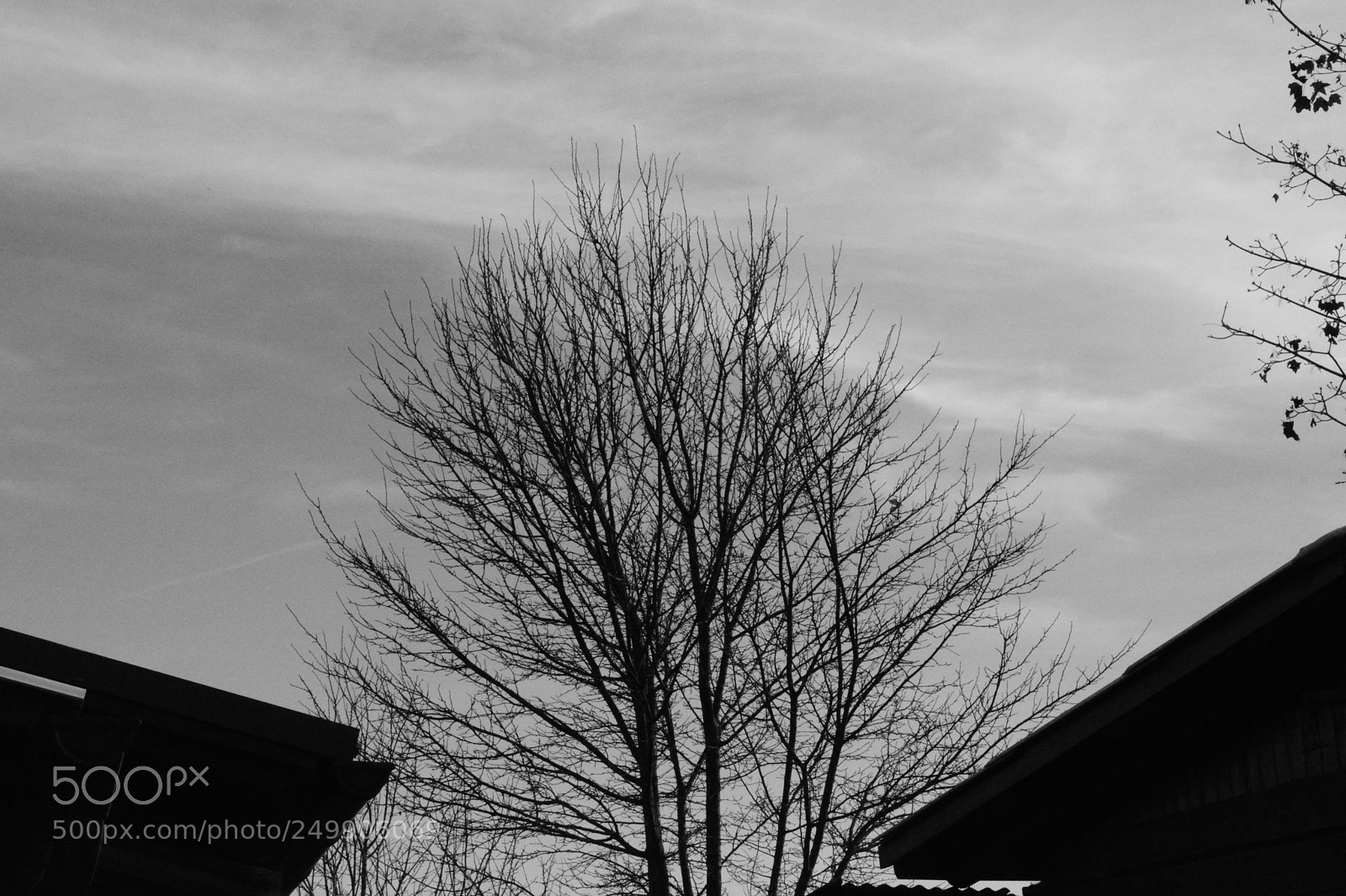 Nikon D5200 sample photo. Between the roofs photography