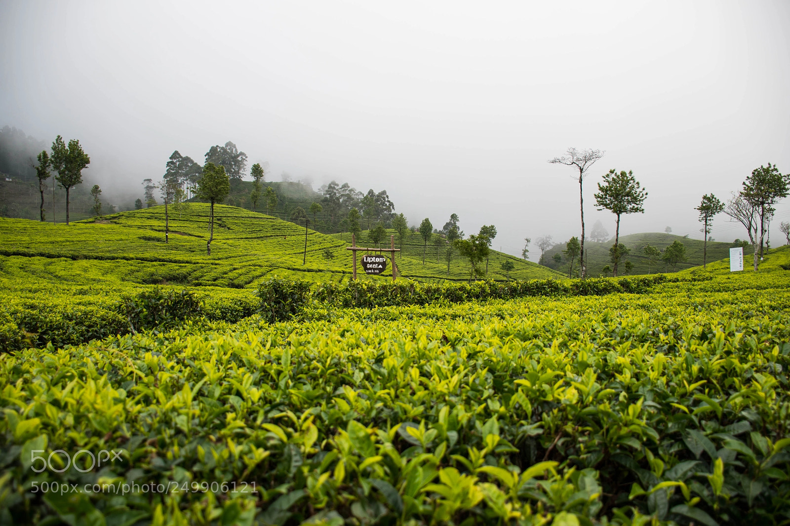 Nikon D7500 sample photo. Liptan seat photography
