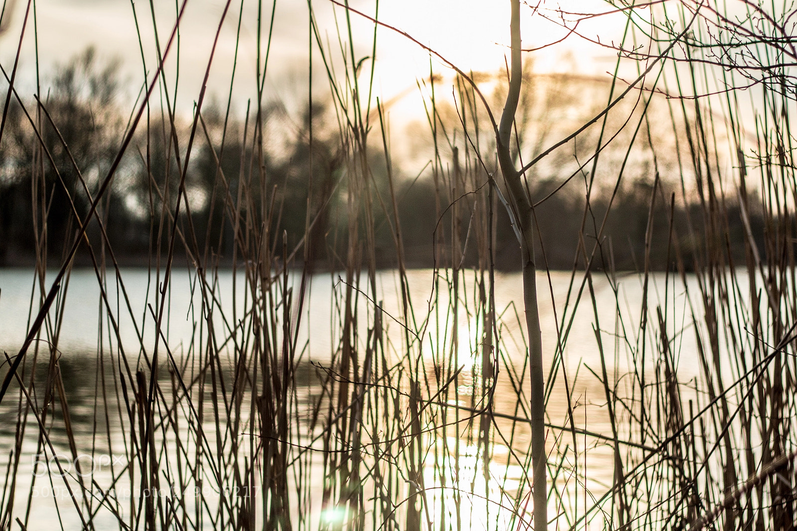 Canon EOS 70D sample photo. Lake & sunset photography
