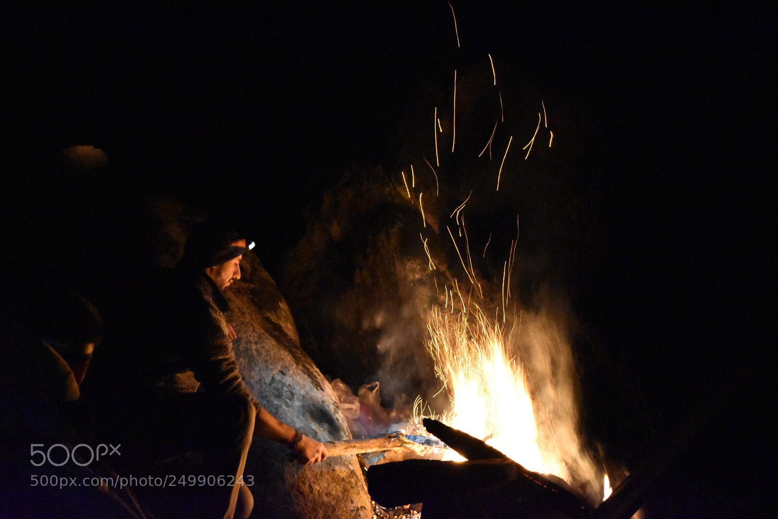 Nikon D5500 sample photo. Untitled photography